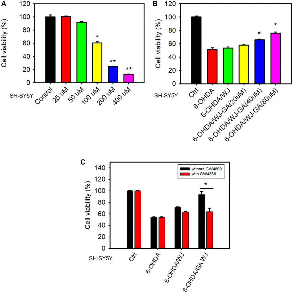 GA reinforces WJMSCs to improve SH-SY5Y cell viability in a 6-OHDA damage model. (A) 6-OHDA-induced cell death was determined using an MTT assay. (B) Transwell co-culture assay was employed to determine the rescue ability of GA-promoted WJMSCs in the 6-OHDA damage model. (C) The effects of exosome inhibitor GW4869 on GA-reinforced WJMSCs protective ability were performed. The data is represented as the mean values ± standard deviation. Significance ascribed as *P  0.05, **P  0.01 vs. control.