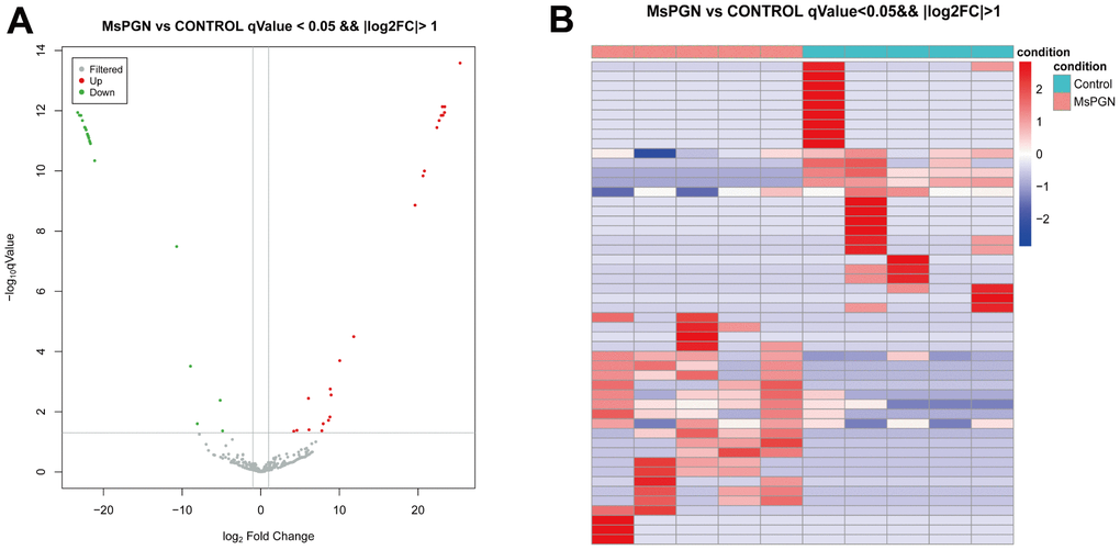 (A) volcano plot. (B) Heat map of 50 differentially expressed miRNAs (P 