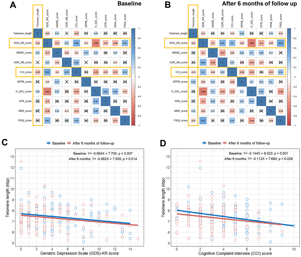 Correlation plots between TL and questionnaire and physical activity scores and associations between TL and the GDS-KR and CCI scores. (A) Pearson correlation coefficients and significance levels were calculated between TL and questionnaire and physical activity scores at baseline. The color-coordinated legend indicates the value and sign of Pearson’s correlation coefficient. The number in the box indicates Pearson’s correlation coefficient. Moreover, an x in the box indicates a p value≥0.005; (B) Pearson correlation coefficients and significance levels were calculated between TL and questionnaire and physical activity scores after six months of follow-up. The color-coordinated legend indicates the value and sign of Pearson’s correlation coefficient. The number in the box indicates Pearson’s correlation coefficient. Moreover, an x in the box indicates a p-value≥0.005; (C) scatterplot with a linear regression line showing the association between GDS-KR score and TL at baseline and after six months of follow-up; (D) scatterplot with a linear regression line showing the association between the CCI score and TL at baseline and after six months of follow-up. TL=telomere length; GDS-KR=Geriatric Depression Scale revised Korean version; CCI=Cognitive Complaint Interview.