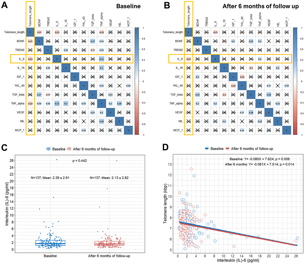 Correlation plots between TL and concentrations of several blood biomarkers and associations between TL and serum IL-6 levels. (A) Pearson correlation coefficients and significance levels were calculated between TL and concentrations of several blood biomarkers at baseline. The color-coordinated legend indicates the value and sign of Pearson’s correlation coefficient. The number in the box indicates Pearson’s correlation coefficient. Moreover, an x in the box indicates a p-value≥0.005; (B) Pearson correlation coefficients and significance levels were calculated between TL and concentrations of several blood biomarkers after six months of follow-up. The color-coordinated legend indicates the value and sign of Pearson’s correlation coefficient. The number in the box indicates Pearson’s correlation coefficient. Moreover, an x in the box indicates a p-value≥0.005; (C) Boxplot showing distributions of IL-6 levels in the study subjects at baseline and after six months of follow-up; (D) scatterplot with a linear regression line showing the association between IL-6 and TL at baseline and after six months of follow-up. TL=telomere length; IL-6= interleukin-6.