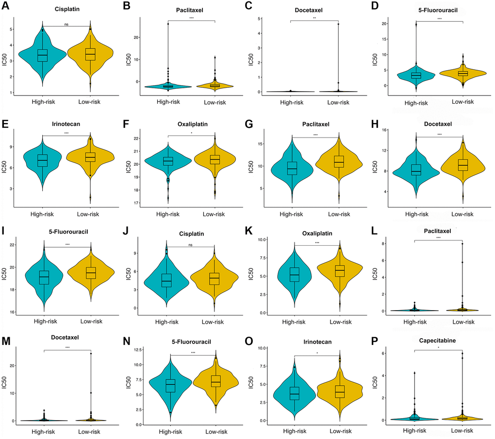 Chemotherapy drugs’ sensitivity of the high- versus low-risk group. Differential analysis of IC50 for chemotherapy drugs in CGP (A–E), CTRP (F–I), and GDSC (J–P) databases.