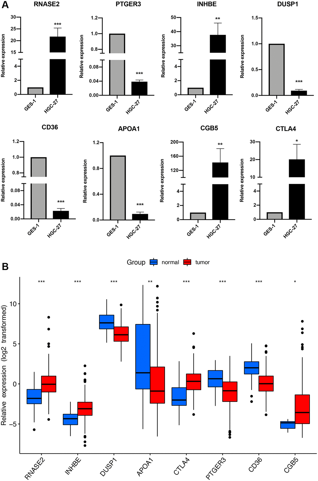 The expression of the immune-related signature in cell lines and TCGA cohort. (A) qRT-PCR results of the immune-related signature in GC cell lines (HGC-27) and control cell lines (GES-1). *P **P ***P B) The expression of the immune-related signature in TCGA cohort.