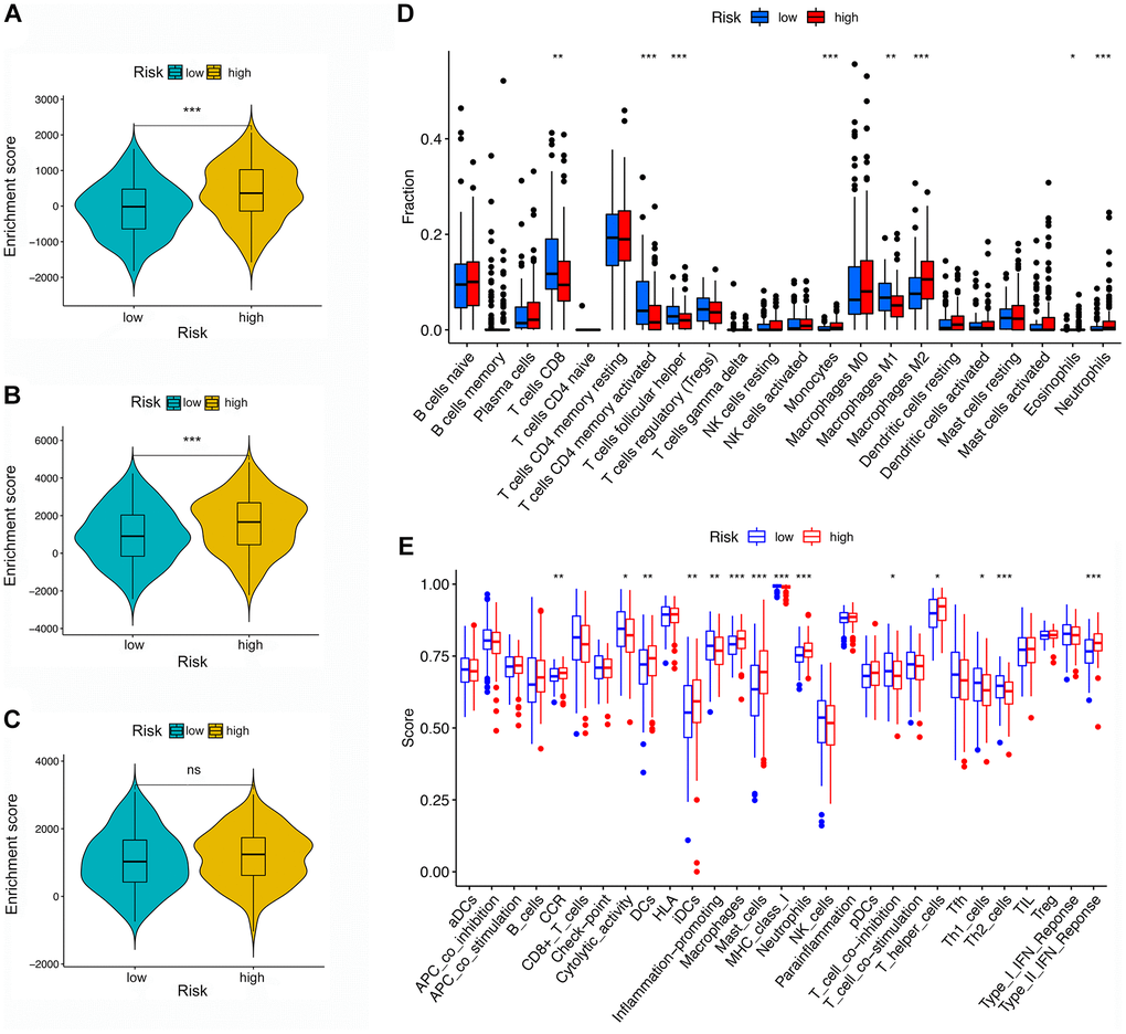 TME and immune cell infiltration in different risk groups. (A–C) TME analysis based on ESTIMATE algorithm. From top to bottom: The stromal score, ESTIMATE score, and immune score. (D) Immune cell infiltration in high- and low-risk groups based on the CIBERSORT algorithm. (E) Immune-related pathways based on ssGSEA.