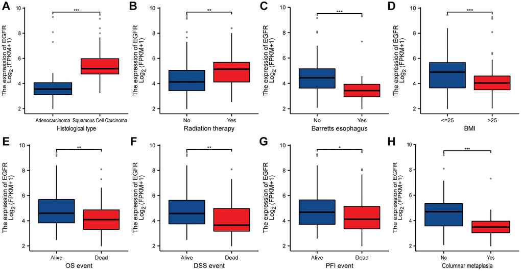 The relationship between EGFR and clinicopathologic characteristics in ESCC. (A) Histological type. (B) Radiation therapy. (C) Barretts esophagus. (D) BMI. (E) OS event. (F) DSS event. (G) PFI event. (H) columnar metaplasia. *, **, *** represents P P P 