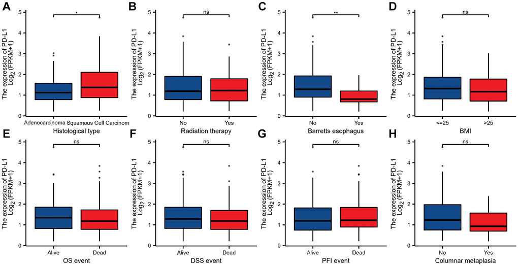 The relationship between PD-L1 and clinicopathologic characteristics in ESCC. (A) Histological type. (B) Radiation therapy. (C) Barretts esophagus. (D) BMI. (E) OS event. (F) DSS event. (G) PFI event. (H) columnar metaplasia. *, **, *** represents P P P 