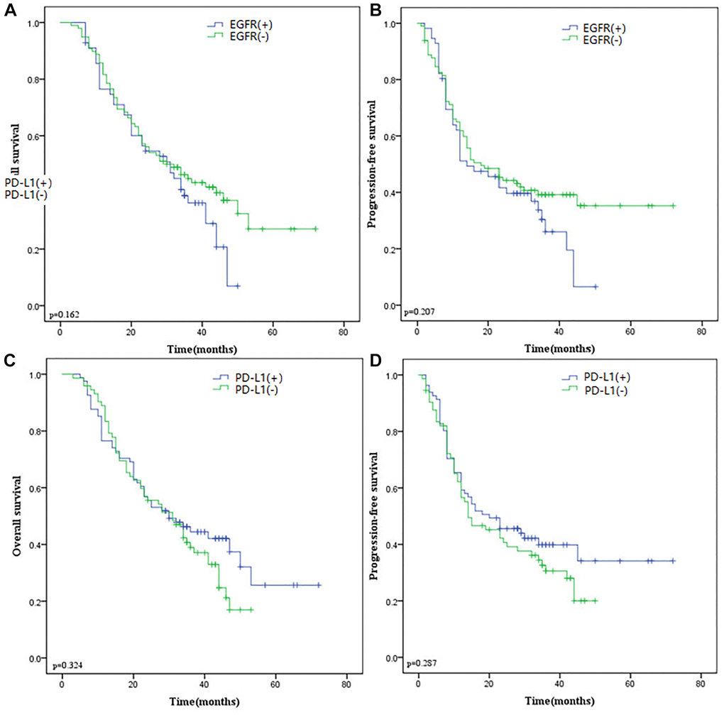 (A) Kaplan-Meier curves of OS according to EGFR expression. (B) Kaplan-Meier curves of PFS according to EGFR expression. (C) Kaplan-Meier curves of OS according to PD-L1 expression. (D) Kaplan-Meier curves of PFS according to PD-L1 expression. Abbreviations: OS: Overall Survival; EGFR: Epidermal Growth Factor Receptor; PD-L1: Programmed Death-Ligand 1; PFS: Progression-Free Survival.