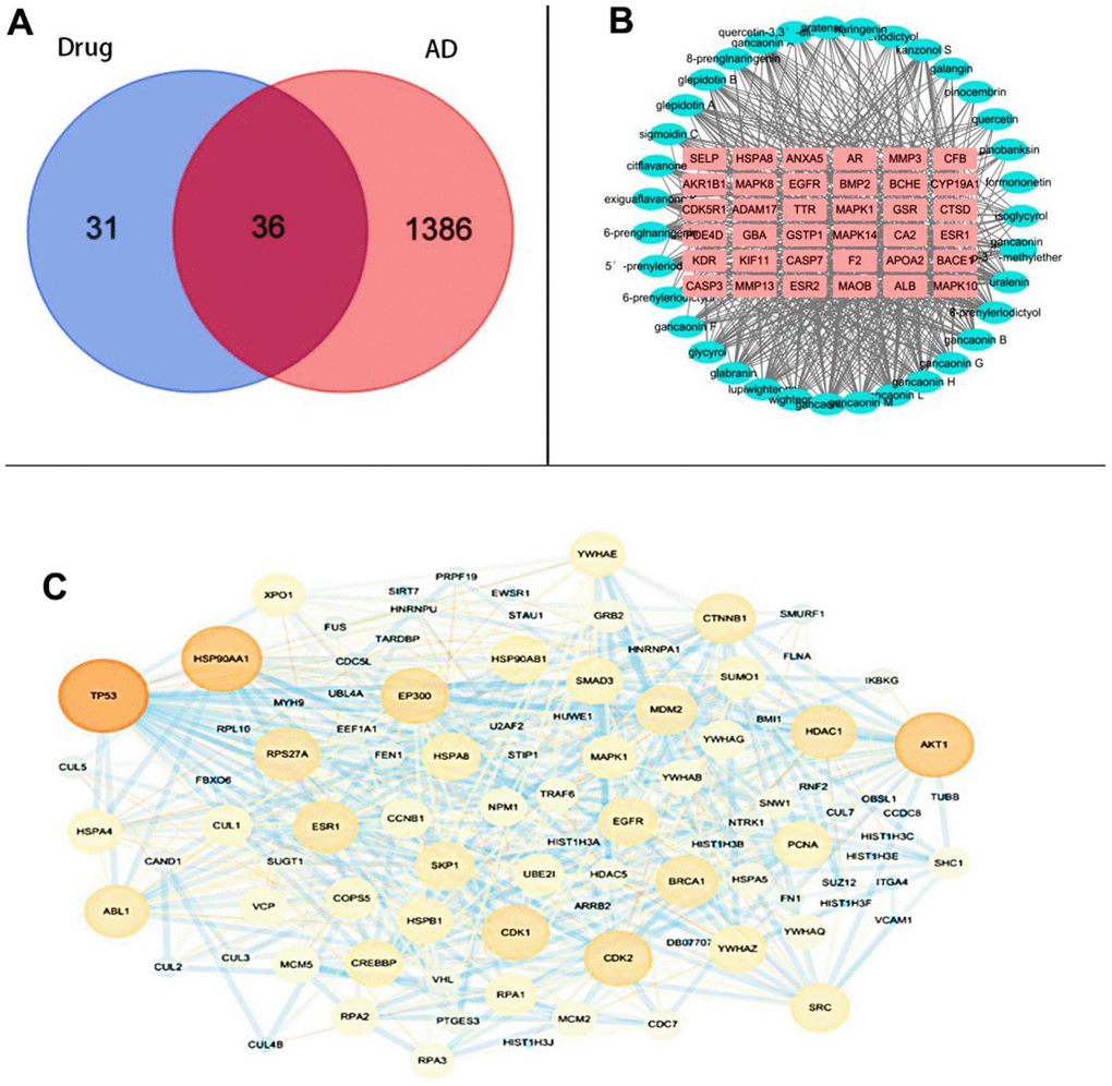 Common-target network (A) Intersection targets (B) Composition-core target network diagram (C) PPI network diagram.