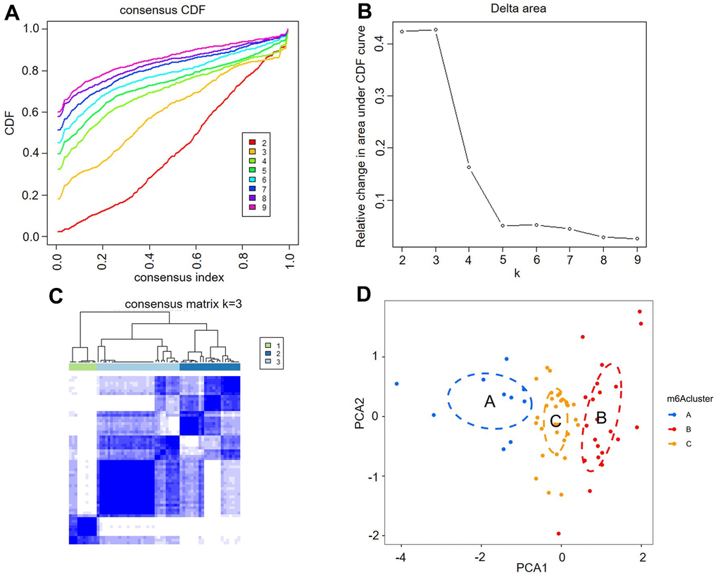 Identification of three distinct m6A modification pattern subtypes in atrial fibrillation. (A) Consensus clustering cumulative distribution function (CDF) for k = 2-9. (B) Relative change in the area under the CDF curve for k = 2-9. (C) Heatmap of the matrix of cooccurrence proportions for atrial fibrillation samples. (D) Principal component analysis for the transcriptome profiles of three m6A clusters, showing a remarkable difference in the transcriptome between different modification patterns.