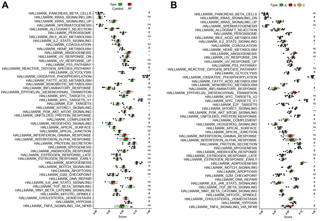 Analysis of HALLMARKS pathway enrichment scores between different groups. (A) Comparison of HALLMARKS pathway enrichment scores between controls and atrial fibrillation patients. (B) Comparison of HALLMARKS pathway enrichment scores in the 3 m6A clusters.
