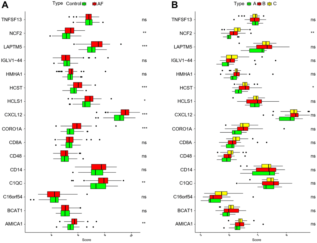 Analysis of the differences in expression of 16 key genes in different groups. (A) Comparison of the expression of 16 key genes between controls and atrial fibrillation patients. (B) Comparison of the expression of 16 key genes in the 3 m6A clusters. *P P P 