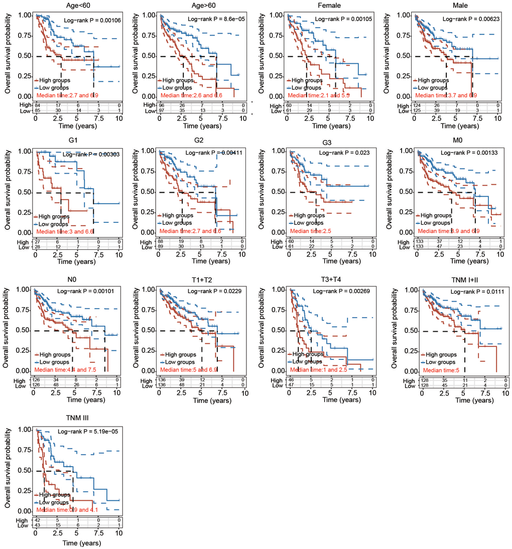 Prognostic potential of the risk score with different clinical parameters. KM analysis of OS between two subgroups stratified by age  60, male, female, T1 + T2, T3 + T4, G1, G2, G3, M0, N0, TNM I+II and TNM III with the log-rank test according to the TCGA database.