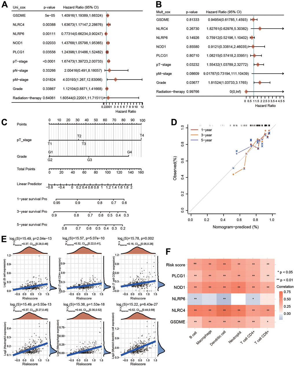 Univariate and multivariate Cox regression analyses for risk score and construction of a nomogram. (A, B) Univariate Cox regression and multivariate Cox regression analyses of five PRGs and clinical features. (C) A nomogram containing the prognostic signature and different clinicopathological parameters was constructed. (D) Calibration curve of the actual 1-, 3-, and 5-year OS. (E) Association between the risk score and the infiltration abundances of six immune cells. (F) Heatmap depicting the correlations between the risk score and five PRGs and the infiltrated abundances of six types of immune cells. *p 