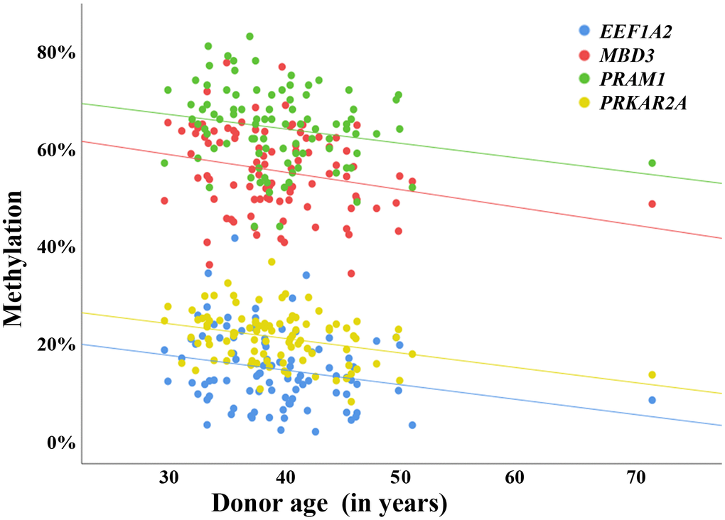 Validation of sperm ageDMRs by bisulfite pyrosequencing. Scatter plots showing the correlations between average regional methylation (y-axis in %), determined by bisulfite pyrosequencing, and donor age (x-axis in years) in 94 human sperm samples. The blue dots represent pyrosequencing measurements for an ageDMR (identified by RRBS) in EEF1A2, the red dots for an ageDMR in MBD3, the green dots for an ageDMR in PRAM1, and the yellow dots for an ageDMR in PRKAR2A. Consistent with the results of RRBS, the regression lines of all analyzed regions indicate a significant (also see Supplementary Table 3) loss of methylation with age. The correlations remain virtually unchanged when excluding the 72-year-old sample from analysis.