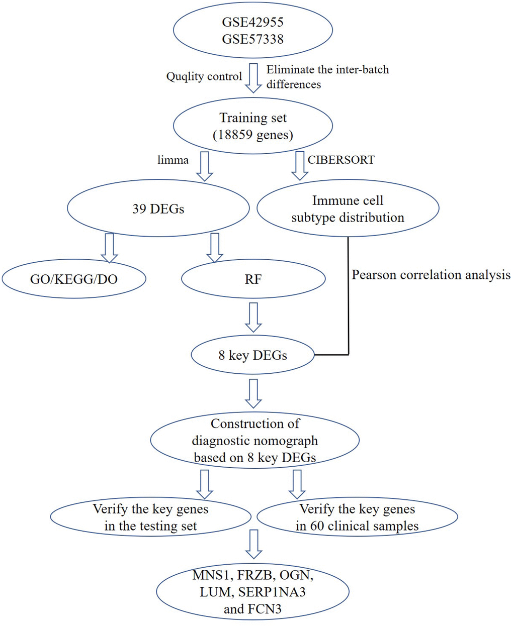 A flow chart for analysis. DEGs, differentially expressed genes; GO, gene ontology annotation; KEGG, kyoto encyclopedia of genes and genomes pathway enrichment analyses; DO, disease ontology analysis; RF, random forest; MNS1, meiosis-specific nuclear structural 1; FRZB, frizzled-related protein; OGN, osteoglycin; LUM: lumican; SERPINA3: serpin family A member 3; FCN3: ficolin-3.