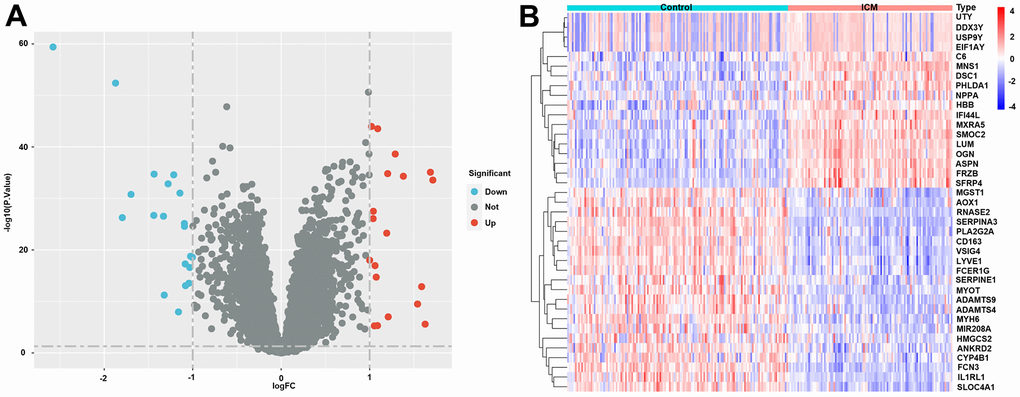 Differentially expressed genes (DEGs) in ICM and healthy samples. (A) Volcano plot of the 39 DEGs. Red dots represent significantly upregulated genes, and blue dots represent significantly downregulated genes. (B) Heatmap of the 39 lipid-related DEGs in ICM and control samples. Red blocks indicate high-expression genes, and blue blocks indicate low-expression genes.