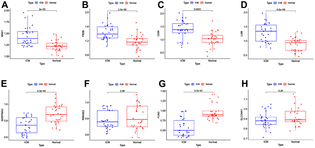 External validation of the key genes in the clinical samples. The expression levels of MNS1 (A), FRZB (B), OGN (C), LUM (D), SERPINA3 (E), RNASE2 (F), FCN3 (G) and SLCO4A1 (H) in the clinical samples. MNS1, meiosis-specific nuclear structural 1; FRZB, frizzled-related protein; OGN, osteoglycin; LUM: lumican; SERPINA3: serpin family A member 3; FCN3: ficolin-3; SLCO4A1, solute carrier organic anion transporter family member 4A1; RNASE2, ribonuclease A family member 2.