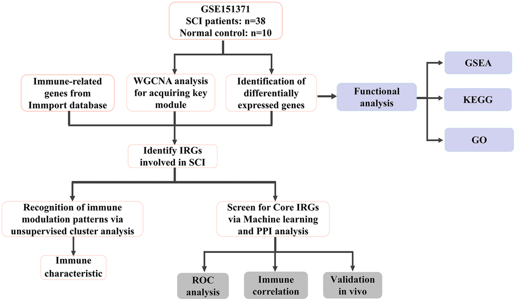 Flow chart of this study.