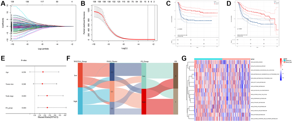 Construction of FAM gene signature and FAM scoring system. (A, B) Lasso Cox regression algorithm found the prognostic genes from the 140 prognostic DEGs. (C, D) Survival analyses for RFS (C) and OS (D) between low- and high- FS groups in METABRIC-TNBC cohort. (E) Multivariate Cox regression analysis confirmed that FS could serve as an independent prognostic biomarker for METABRIC-TNBC samples. (F) Alluvial diagram showing the changes of FAM clusters, FS subtypes and overall survival. (G) Differences in KEGG pathways between the low- and high FS groups.