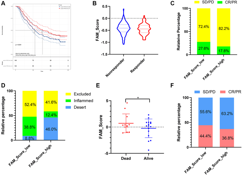 The role of FS scheme in anti-PD-1/L1 immunotherapy. (A) Survival analyses for low- and high-FS subgroups in the anti-PD-L1 immunotherapy cohort (IMvigor 210). (B) The proportion of patients with response/nonresponse to PD-L1 blockade immunotherapy in low and high FS groups (IMvigor 210). (C) The proportion of patients with different therapeutic responses to PD-L1 blockade in low and high FS groups (IMvigor 210). (D) The proportion of patients with different immunity phenotypes in low and high FS groups (IMvigor 210). (E) The proportion of patients with different survival status in low and high FS groups (GSE78220). (F) The proportion of patients with different therapeutic response to PD-1 blockade immunotherapy in low and high FS groups (GSE78220). Abbreviations: SD: stable disease; PD: progressive disease; CR: complete response; PR: partial response.