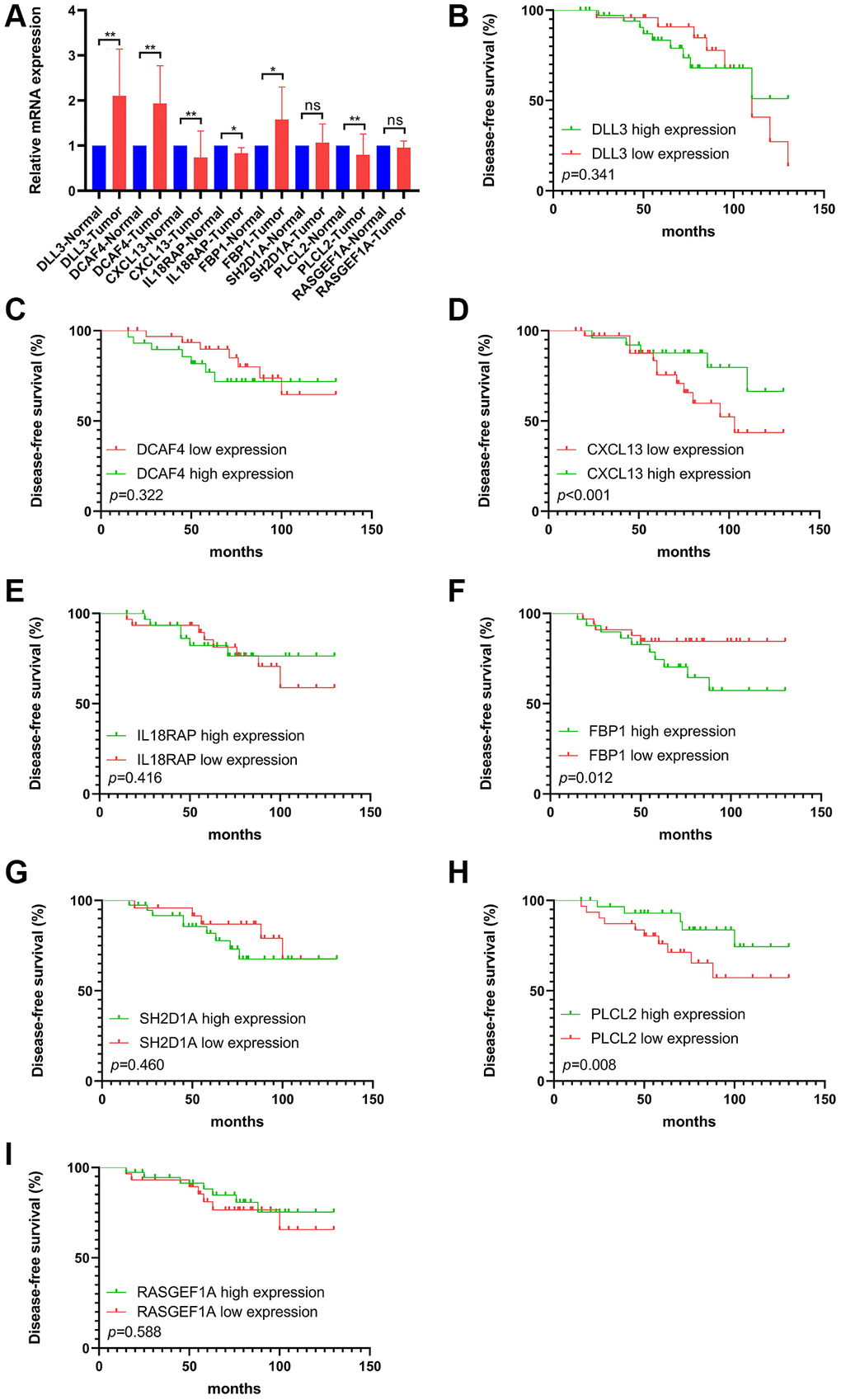 The mRNA levels and prognostic value of selected FS gene signatures in our cohort. (A) Comparison of mRNA expression levels of selected FS gene signatures in adjacent normal tissues and Tumor tissues by RT-qPCR assay. Kaplan–Meier curve shows the survival diversity between differential expression of DLL3 (B), DCAF4 (C), CXCL13 (D), IL18RAP (E), FBP1 (F), SH2D1A (G), PLCL2 (H) and RASGEF1A (I) in our cohort. Non-significant (ns) P > 0.05, *P **P 