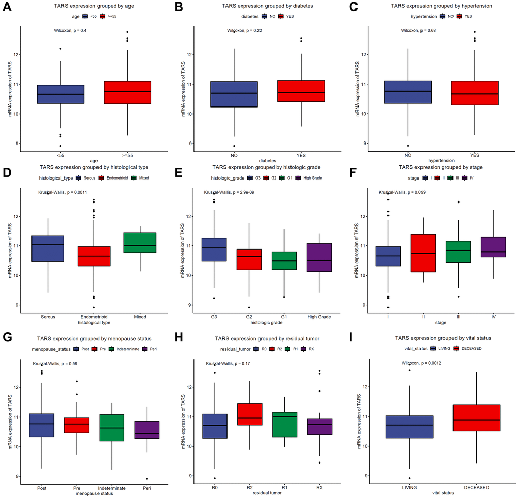 TARS expression in subgroups. TARS expression grouped by (A) age, (B) diabetes, (C) hypertension, (D) histological type, (E) histologic grade, (F) stages, (G) menopause status, (H) residual tumor, and (I) vital status.