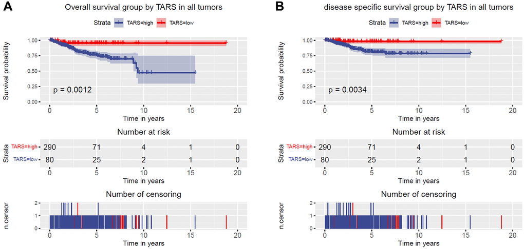 High TARS expression is associated with poor survival. (A) Overall survival group by TARS in all tumors. (B) Disease specific survival group by TARS in all tumors.