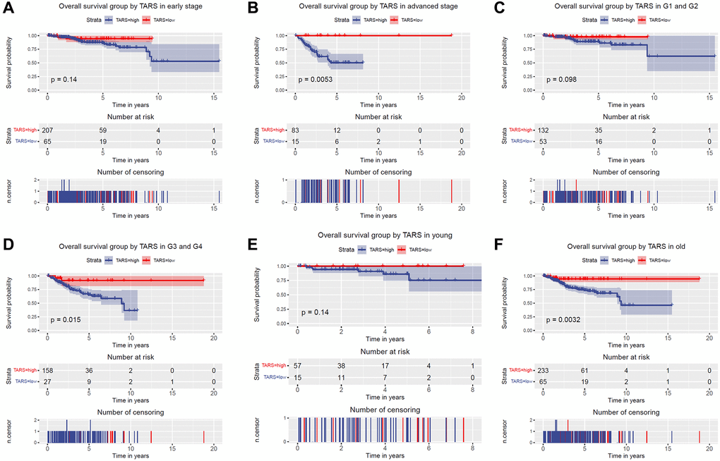 Overall survival grouped TARS expression. Overall survival group by GJB3 in (A) early stage, (B) advanced stage, (C) G1 and G2, (D) G3 and G4, (E) young, and (F) old.