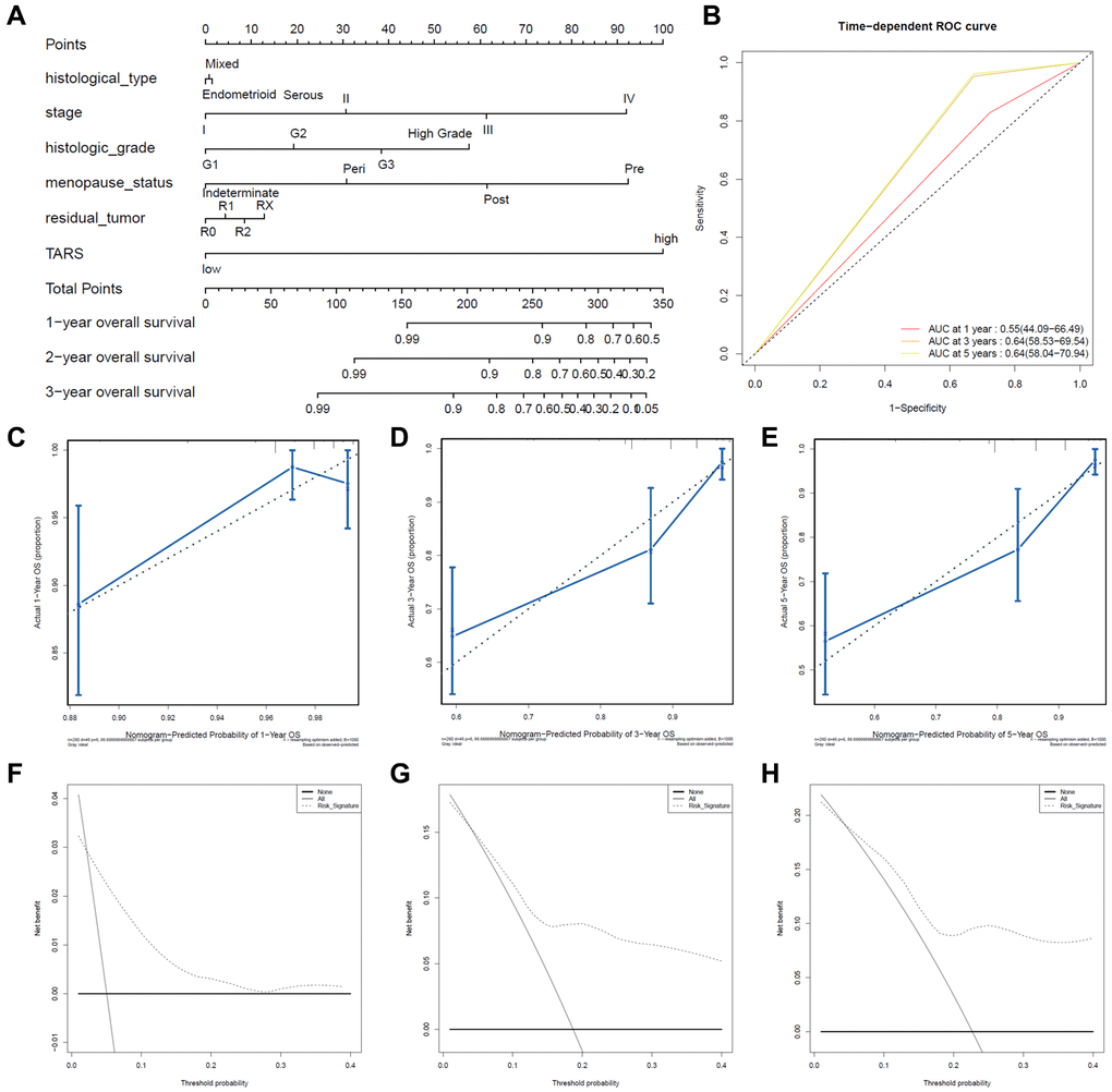 Predictive value of TARS expression in overall survival. (A, B) ROC curves evaluating the TARS expression for predicting overall survival. (C) Nomogram predicted 1-year overall survival vs. actual 1-year overall survival. (D) Nomogram predicted 3-year overall survival vs. actual 3-year overall survival. (E) Nomogram predicted 5-year overall survival vs. actual 5-year overall survival. (F–H) Decision curve analysis reflects the feasibility of TARS expression in predicting 1-year, 3-year, and 5-year overall survival.