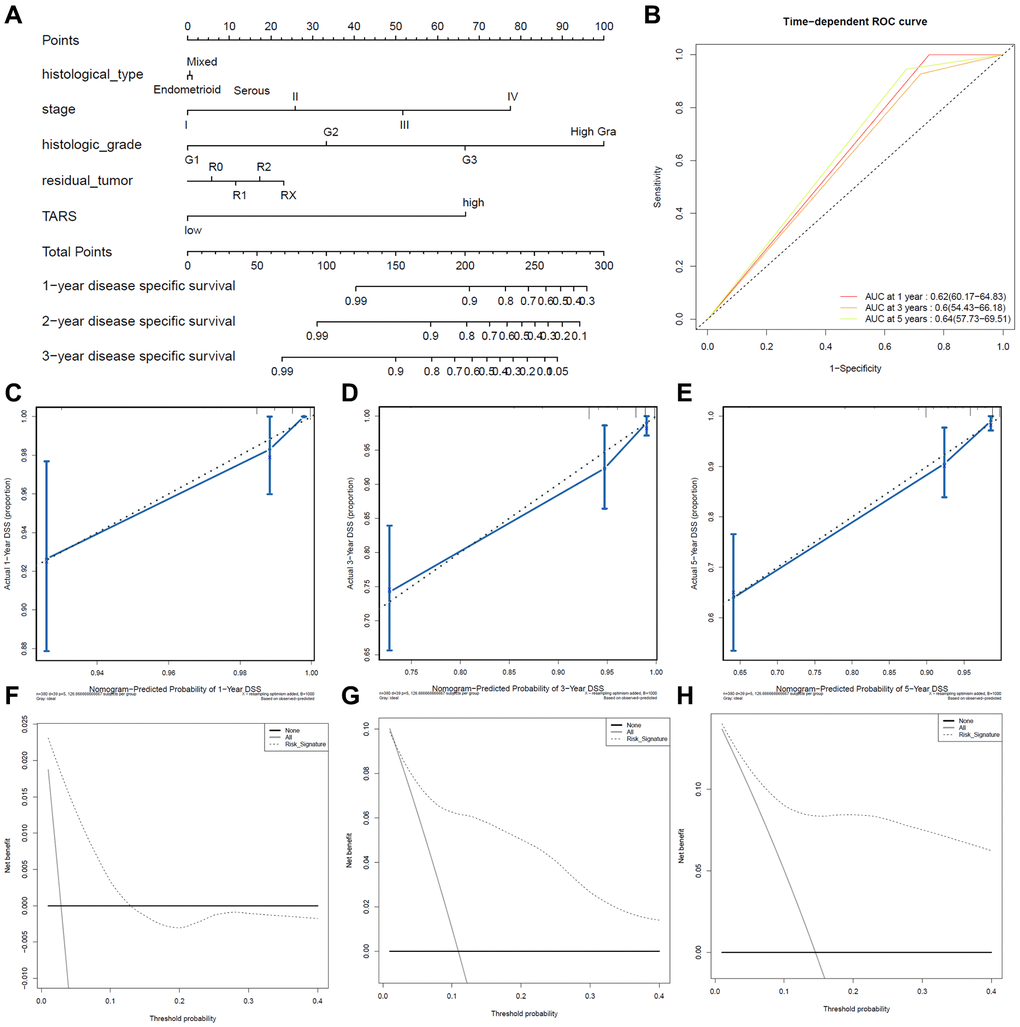 Predictive value of TARS expression in disease specific survival. (A, B) ROC curves evaluating the TARS expression for predicting disease specific survival. (C) Nomogram predicted 1-year disease specific survival vs. actual 1-year disease specific survival. (D) Nomogram predicted 3-year disease specific survival vs. actual 3-year disease specific survival. (E) Nomogram predicted 5-year disease specific survival vs. actual 5-year disease specific survival. (F–H) Decision curve analysis reflects the feasibility of TARS expression in predicting 1-year, 3-year, and 5-year disease specific survival.
