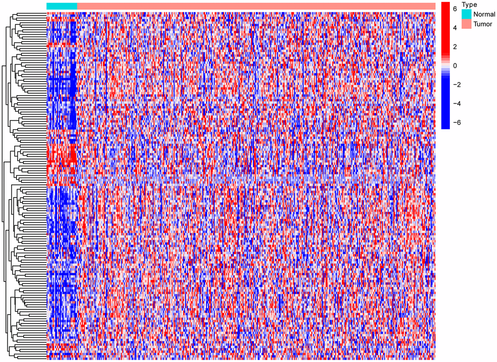 Heat map of differential expression of autophagy-related genes.