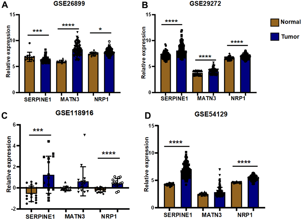 External validation of GEO datasets. (A) Differential expression analysis was performed in GSE26899 (B) Differential expression analysis was performed in GSE29272 (C) Differential expression analysis was performed in GSE118916 (D) Differential expression analysis was performed in GSE54129(*PPPP