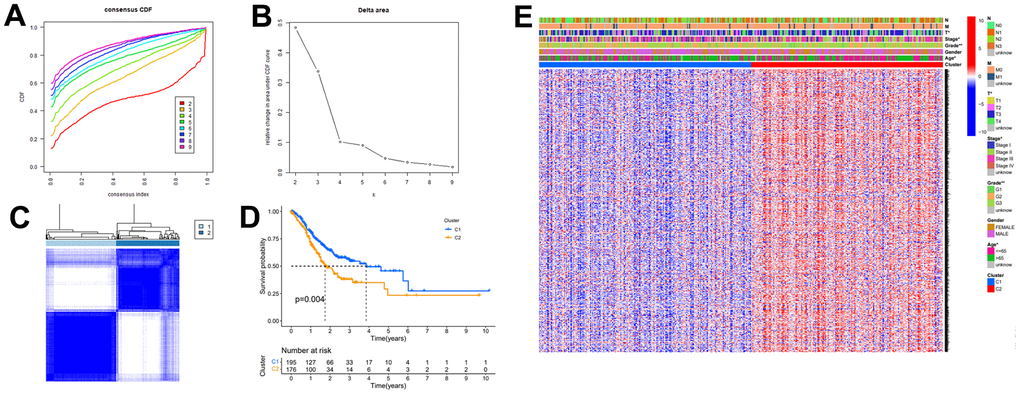 The autophagy -related genes could classify GC into two groups by consensus clustering analysis. (A) Cumulative distribution function (CDF) for k=2 to k=9. (B) Relative change in area under the CDF curve according to different k values. (C) Consensus clustering matrix of samples from TCGA dataset for k=2. (D) Survival analysis of patients in the C1 group and C2 group in TCGA cohort. (E) Heatmap of two clusters defined by the expression of autophagy-related key genes.