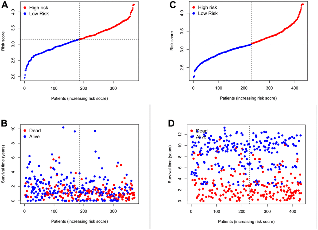 Assess the ability of risk scores to differentiate patients’ survival status. (A, B) The distributions of risk scores and OS status in TCGA. (C, D) The distributions of risk scores and OS status in GEO.