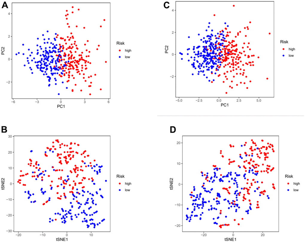 Assess the ability of risk scores to differentiate patients in high and low risk group. (A, B) PCA and tSNE assessed the ability of risk scores to distinguish between high and low risk groups of patients in the TCGA cohorts. (C, D) PCA and tSNE assessed the ability of risk scores to distinguish between high and low risk groups of patients in the GEOcohorts. PCA: principal components analysis; tSNE: t-distributed stochastic neighbor embedding.