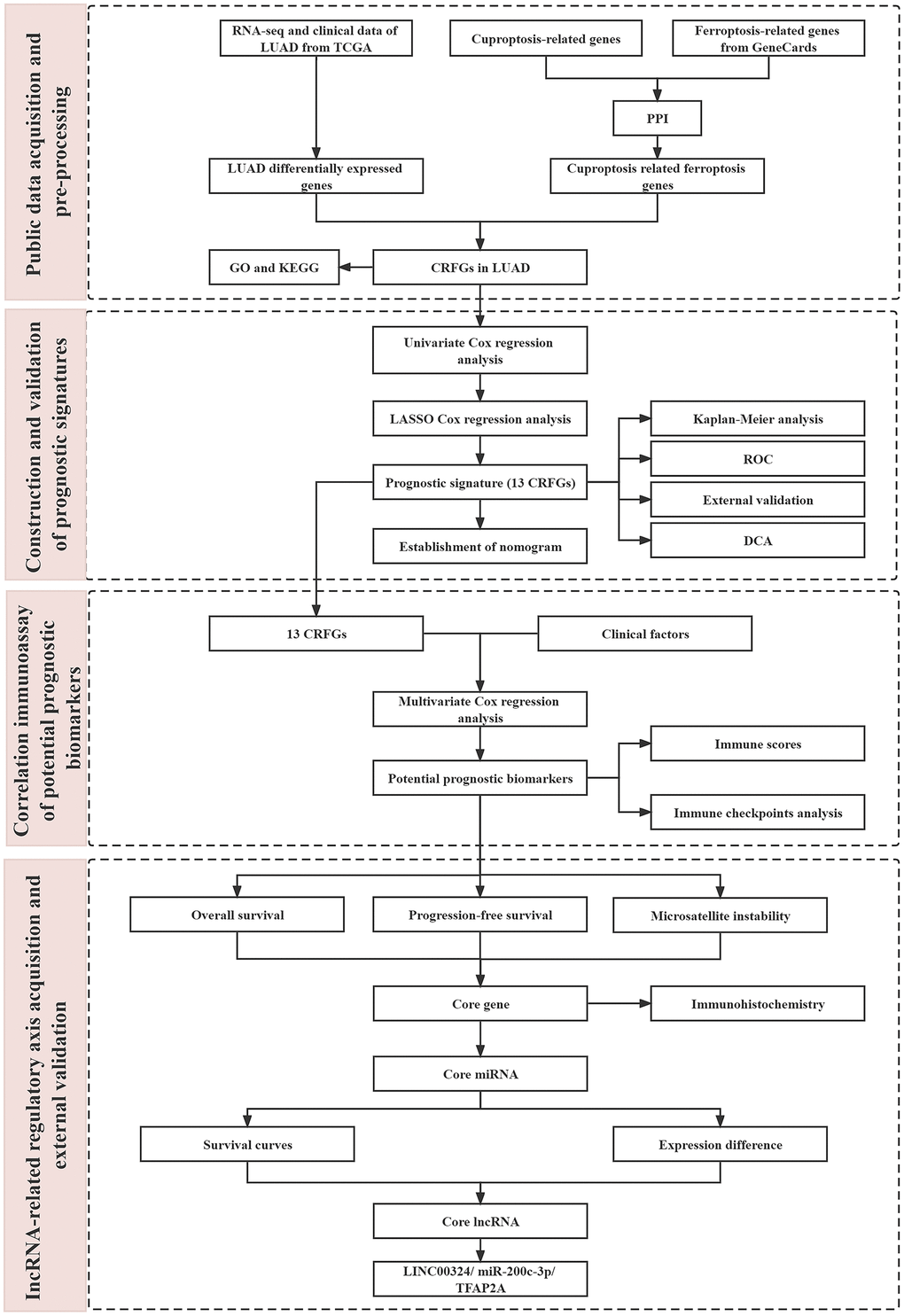 The flow chart of this study.