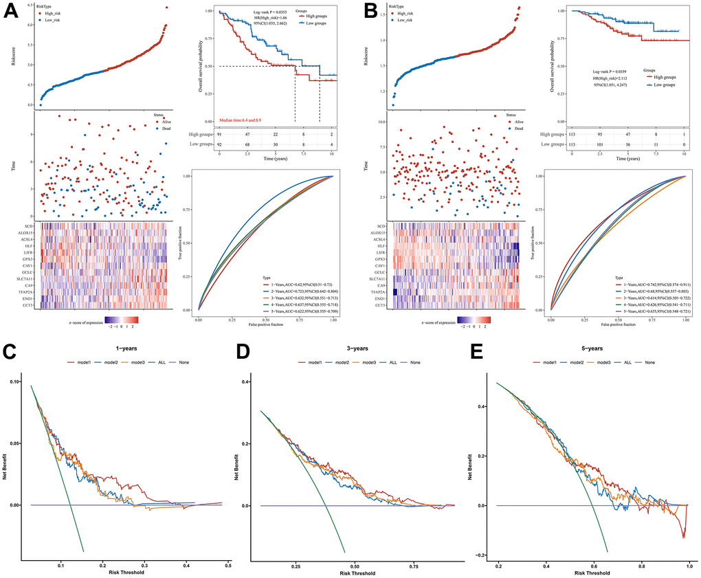 Validation of the prognostic signature. Validation of the prognostic signature in the external datasets (A) GSE41271 and (B) GSE31210. DCA curve was used to assess the clinical utility of the prognostic signature associated with CRFGs versus a single cuproptosis or ferroptosis model at (C) 1 year, (D) 3 years, and (E) 5 years of OS. Model1 represents the CRFGs-related model, Model2 represents the cuproptosis-related model, and Model3 represents the ferroptosis-related model.