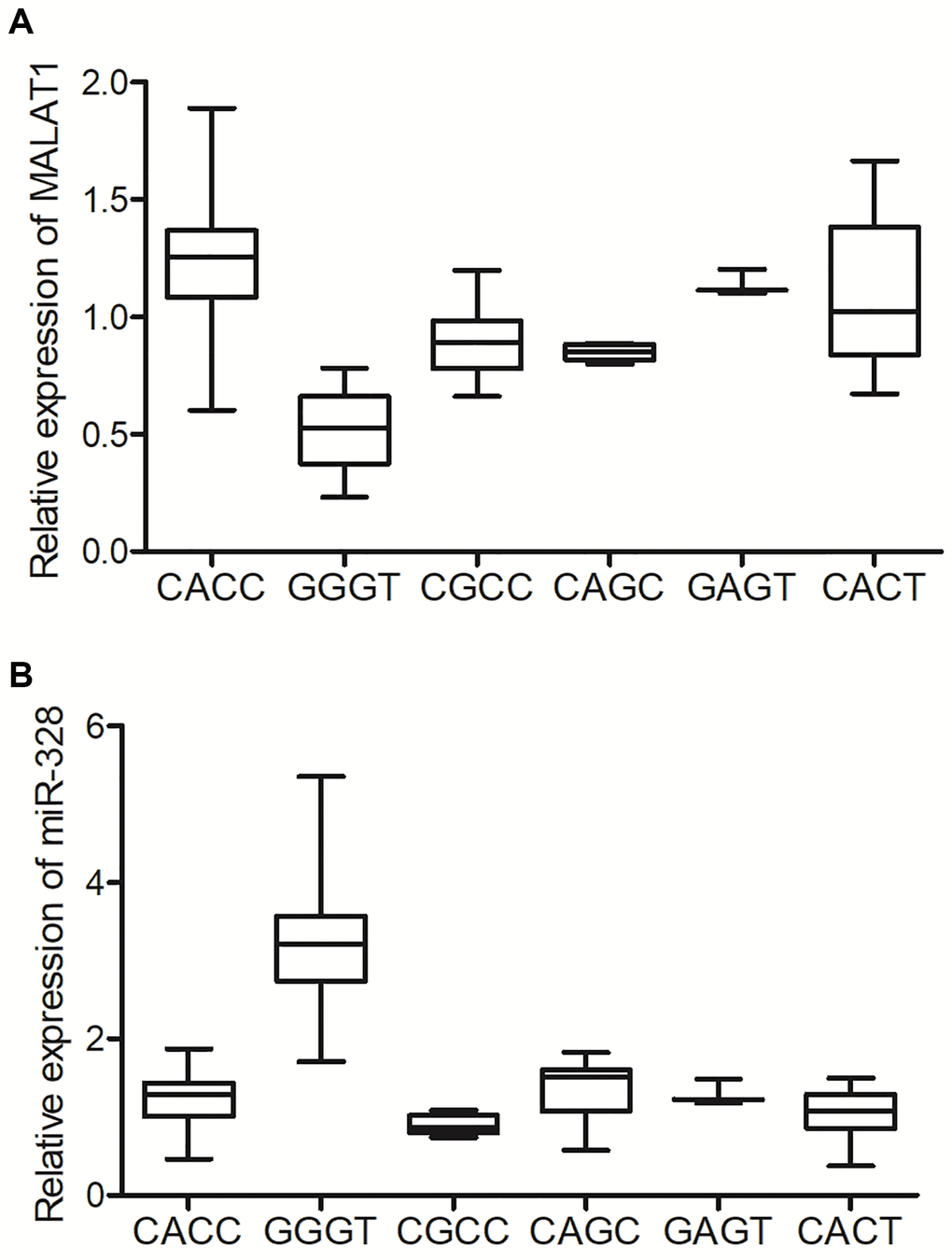 The GGGT genotype of MALAT1 was correlated with suppressed expression of MALAT1 and elevated expression of miR-328 in the peripheral blood of lung cancer patients. (A) The expression of MALAT1 was suppressed in the peripheral blood of lung cancer patients carrying the GGGT genotype of MALAT1. (B) The expression of miR-328 was activated in the peripheral blood of lung cancer patients carrying the GGGT genotype of MALAT1.