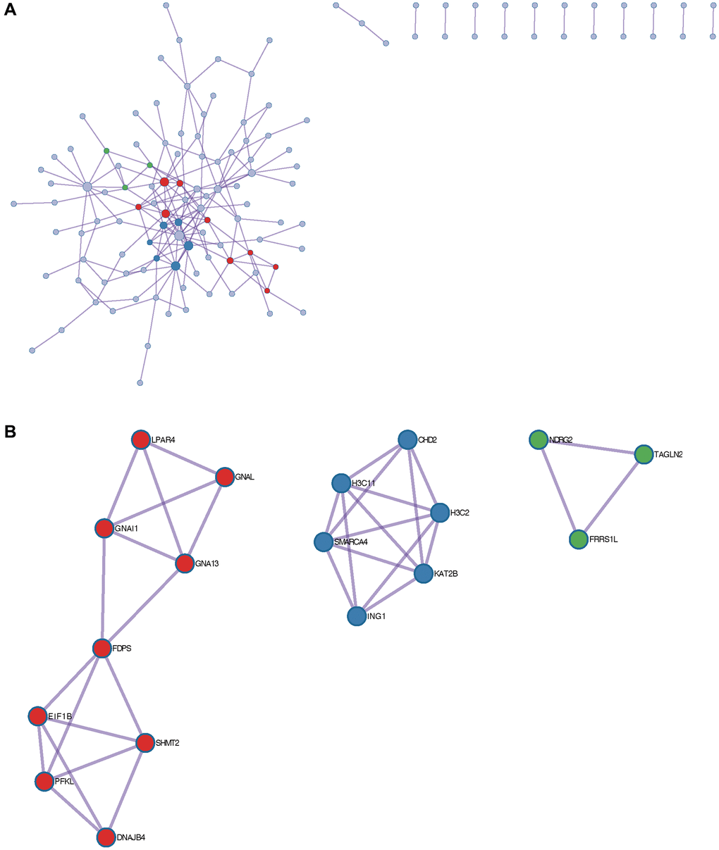 Metascape enrichment analysis. (A) PPI network. (B) 3 core modules.