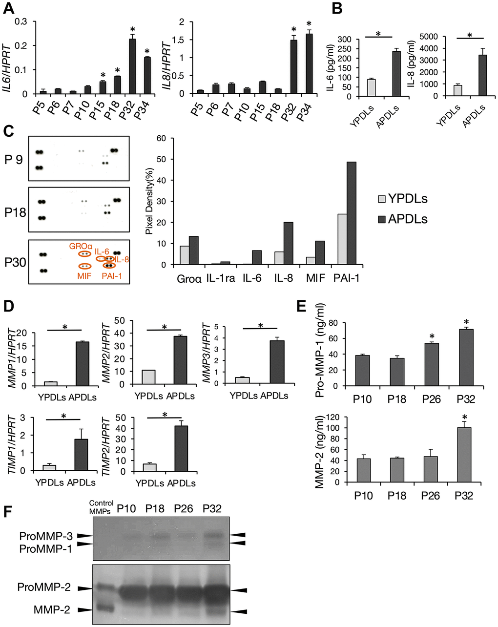 Increased expression of IL-6 and IL-8 in senescent HPDL cells. (A) Relative mRNA expression of IL-6 and IL-8 in various passages of HPDL cells quantified by qRT-PCR (*p B) IL-6 and IL-8 in conditioned medium in YPDLs and APDLs (*p C) Enhanced production of SASP factors in senescent HPDL cells. Soluble factors secreted by P9, P18, and P30 HPDL cells were detected by an antibody dot blot array. In right panels, quantification of signal intensity of dots plots assay for conditioned medium of YPDLs and APDLs. Signal intensities of the major dot blots were normalized against control spots in each blot and shown as bar graphs (Groa, IL-1ra, IL-6, IL-8, MIF, PAI-1). Gray bars indicate YPDLs (P9) and black bars indicate APDLs (P30). Representative data from three experiments are shown. (D) Relative mRNA expression of MMP-1–3 and TIMP-1 and -2 in HPDL cells quantified by qRT-PCR (*p E) Pro-MMP-1 and MMP-2 in conditioned medium of P10, P18, P26, and P32 HPDL cells (*p F) Inverted images of zymography for conditioned medium of P10, P18, P26, and P32 HPDL cells. Dark spots indicate Pro-MMP-1–3 and MMP-2. Representative data from three experiments are shown.