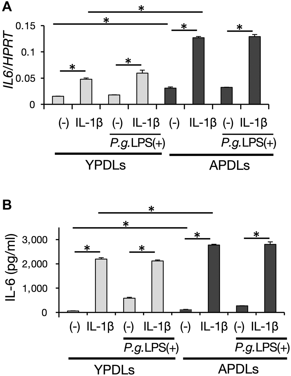 IL-6 production induced by proinflammatory cytokines and bacterial pathogens in senescent HPDL cells. (A) Relative mRNA expression of IL-6 stimulated by IL-1β (1 ng/ml) and P.g LPS (1 μg/ml) in YPDLs and APDLs quantified by qRT-PCR (*p B) IL-6 and IL-8 in conditioned medium of YPDLs and APDLs quantified by ELISA (*p 