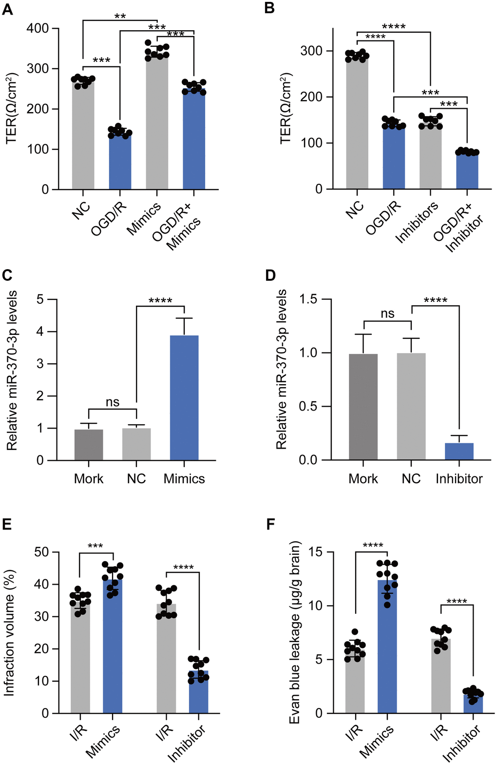 miR-370-3p aggravates I/R-induced BBB disruption. (A, B) The transendothelial electrical resistance of bEND.3 cells was measured using Millicell-ERS electrical resistance system. (C, D) The relative expressions of miR-370-3p in cerebral I/R rats with miR-370-3p mimics or inhibitors treatment. (E, F) Infraction volume and Evan blue leakage were used to evaluate BBB permeability with miR-370-3p mimics or inhibitor treatment. ns, not significant, ** p