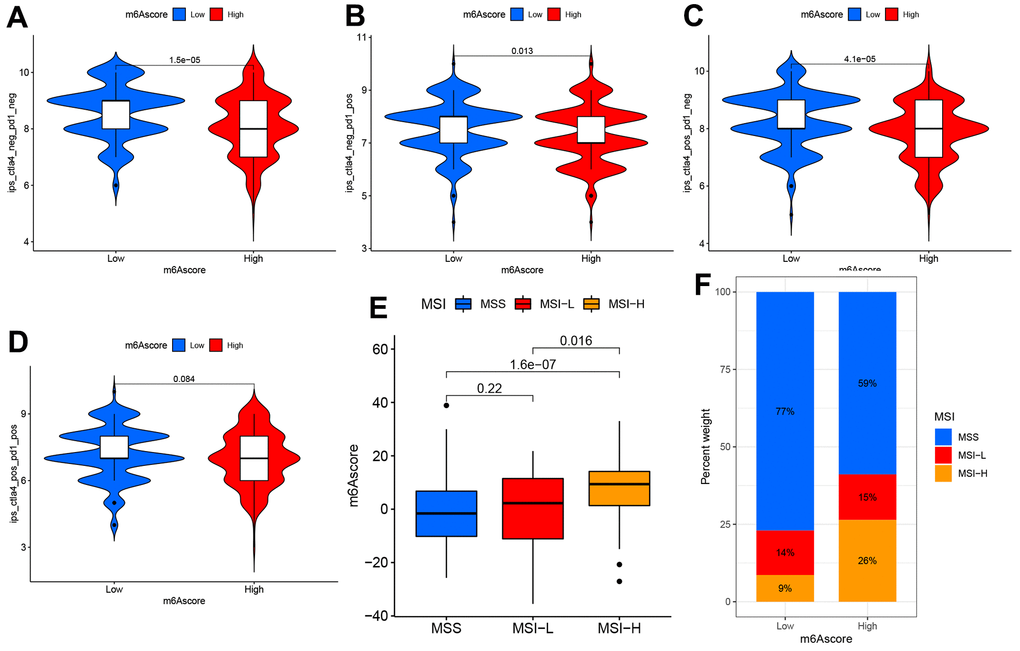 The m6A score predicts immunotherapeutic benefits. (A–D) TCIA database-based correlations of m6A score with IPS among the PAAD patients: (A) CTLA4(−) PD1(−) (B) CTLA4(−) PD1(+) (C) CTLA4(+) PD1(−) (D) CTLA4(+) PD1(+). (E) Distribution of m6A score in different MSI groups. (F) The ratio of MSI (microsatellite instability) in STAD samples with MSS and MSI-L and MSI-H.
