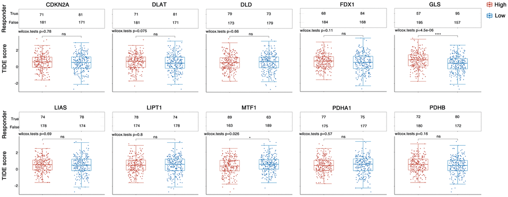 TIDE algorithm predicted the immune checkpoint inhibitor response of HNSC samples with differentially expressing CAGs. The upper panel represents the statistical tables of immune responses of samples. Lower panel indicates the distribution of immune response scores. *stands for significance levels, *for p 