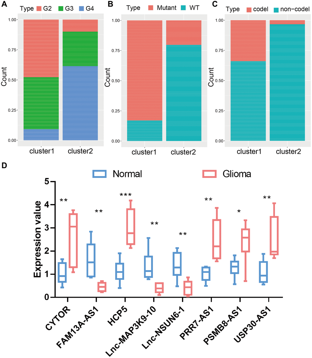 The proportion of patients with grades, IDH1 mutation type, and 1p19q codel status in the high or low-risk groups in the TCGA cohort. (A) The proportion of patients with grades mutation type in the high or low-risk groups. (B) The proportion of patients with IDH1 mutation type in the high or low-risk groups. (C) The proportion of patients with 1p19q codel status in the high or low-risk groups. (D) The expression value of 8 lncRNA in glioma tissues and normal brain tissues.