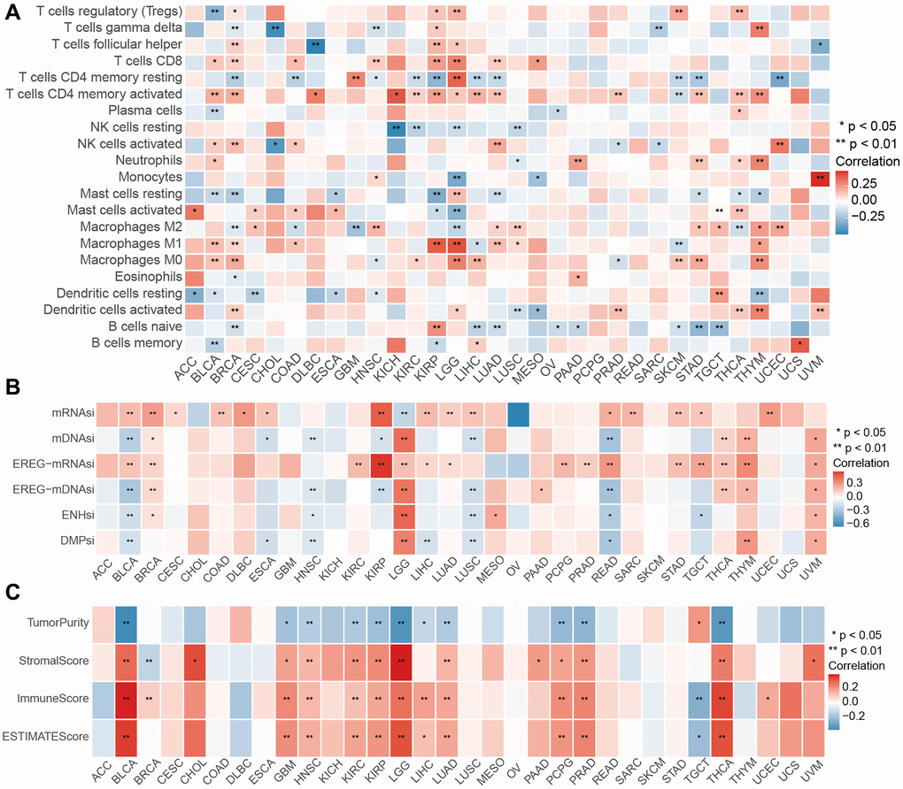 Performance of PIPM riskscore across tumor types. (A) Association between the PIPM riskscore and immune cells for each cancer type. (B) Association between the PIPM riskscore and stemness indices for each cancer type. (C) Correlations between the PIPM riskscore and ESTIMATEscore for each cancer type.