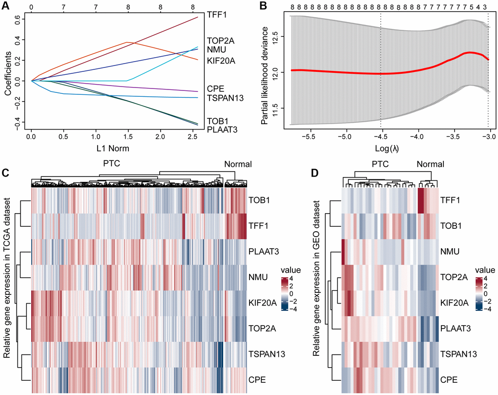 Construction of the prognostic risk model. (A) A Lasso coefficient profile for the prognostic value. (B) Partial likelihood distribution with the corresponding λ-logarithm value. (C, D) Based on the TCGA and GSE54958 datasets, ERGs were differentially expressed in the PTC and normal thyroid tissues, including TOB1, TFF1, PLAAT3, NMU, KIF20A, TOP2A, TSPAN13, and CPE.