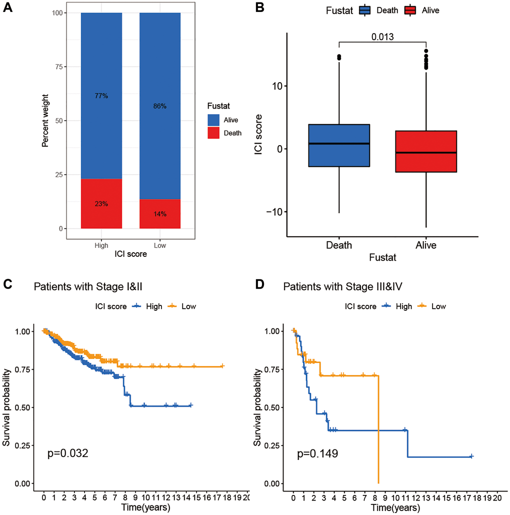 The association of ICI scores and clinical characteristics. (A) Rate of survival status of BC patients in the high and low ICI score group. (B) Distribution of survival status in the two groups. (C) Kaplan-Meier curves analysis for patients with Stage I and II. (D) Kaplan-Meier curves analysis for patients with Stage III and IV.