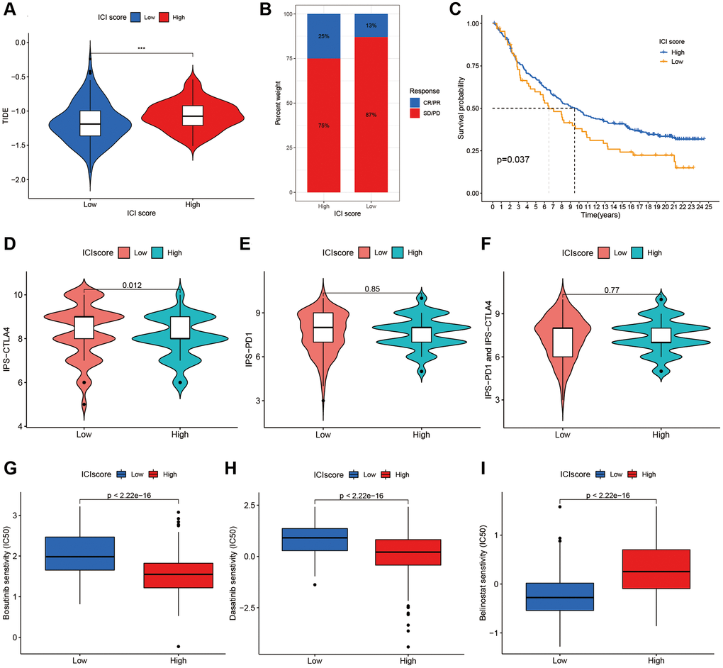 The additional validation and prediction in immune escape and immunotherapy. (A) The Additional Validation with TIDE scores in two ICI score group. (B) The immunotherapy response of anti-PD-L1 in the IMvigor210. (C) Survival plots of ICI scores in the IMvigor210. The responses of IPS-CTLA4 (D), IPS-PD1 (E) and IPS-PD1 and CTLA4 (F) in two ICI score groups. The sensitivities of Bosutinib (G), Dasatinib (H) and Belinostat (I) in two ICI score groups.