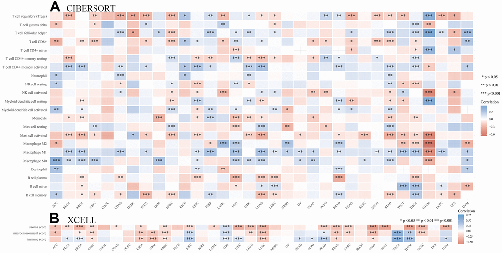 Analysis of the immunity role of SHCBP1 expression in pan-cancer. (A) The correlations between SHCBP1 expression and immune infiltration cells. (B) The correlations between SHCBP1 expression and stromal score, microenvironment score and immune score. *PPP