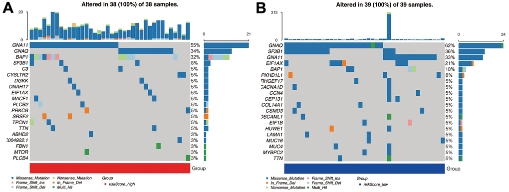 Mutation analysis. (A) The mutant landscape of the high-risk group. (B) The mutant landscape of the low-risk group.